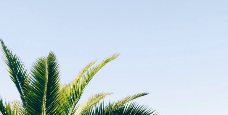 blog 2